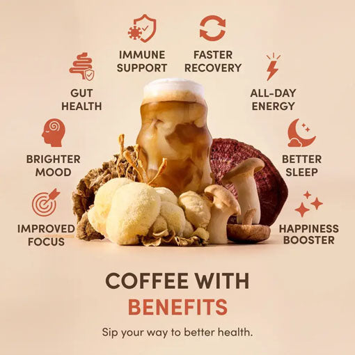 Boosted Chai Latte Bundle